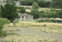 Agriculture Tour