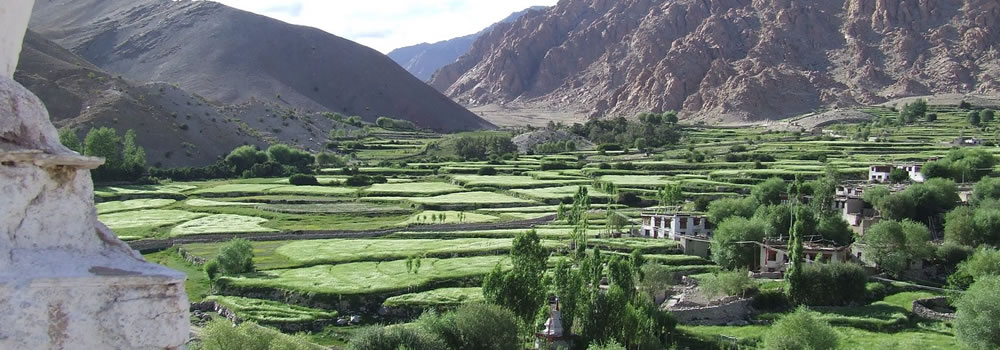 Hemis Shukpachen To Domkar Trek