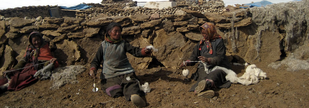 Homestay in ladakh